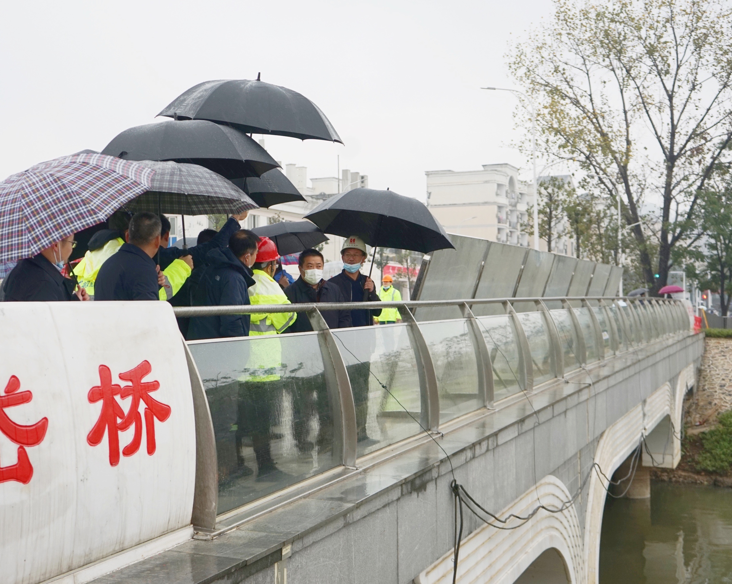 武汉生态环境投资发展集团董事长胡承启带队实地调研湖溪河综合治理工程1.jpg